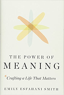 The Power of Meaning Crafting a Life That Matters